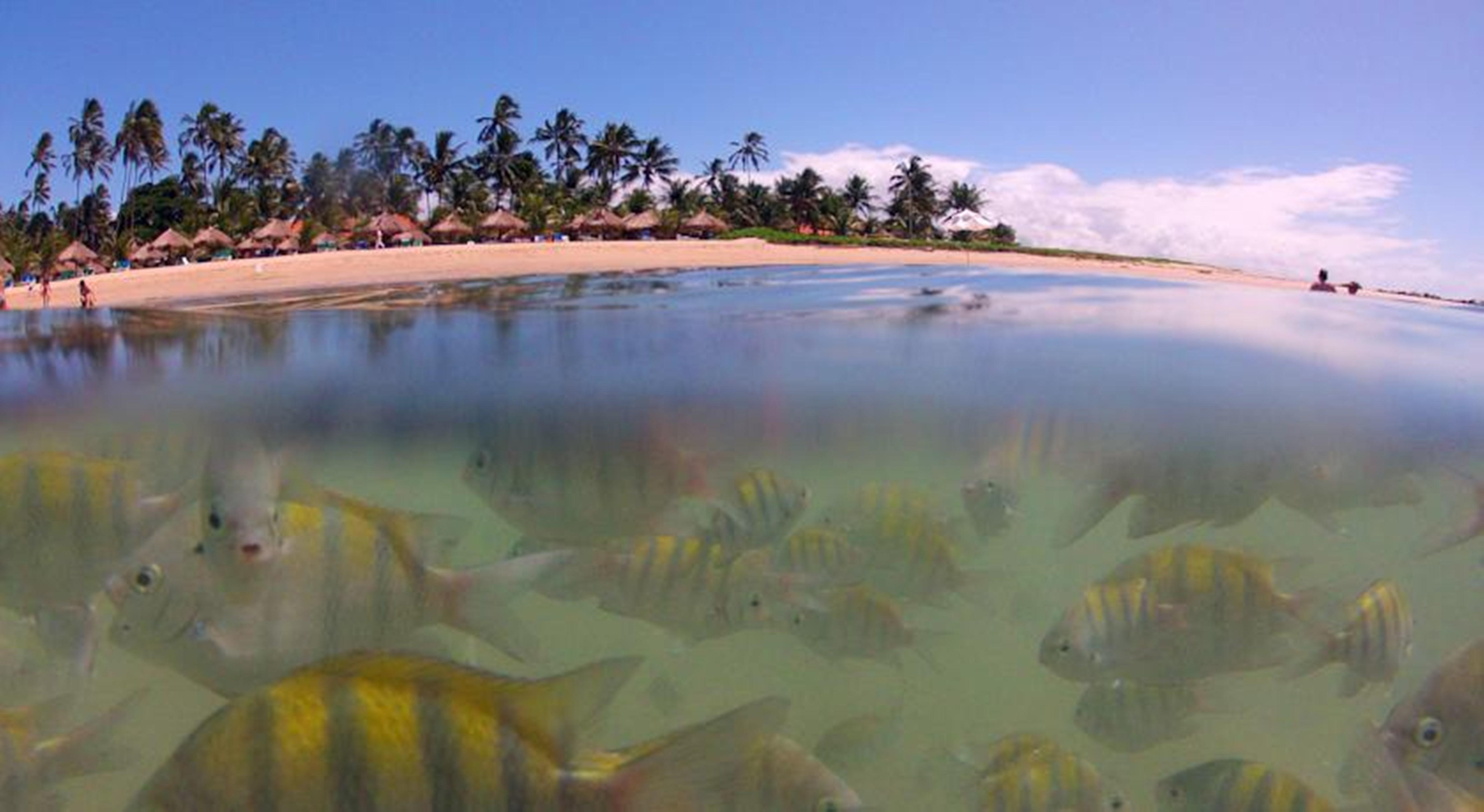Serrambi Resort Pôrto das Galinhas Létesítmények fotó